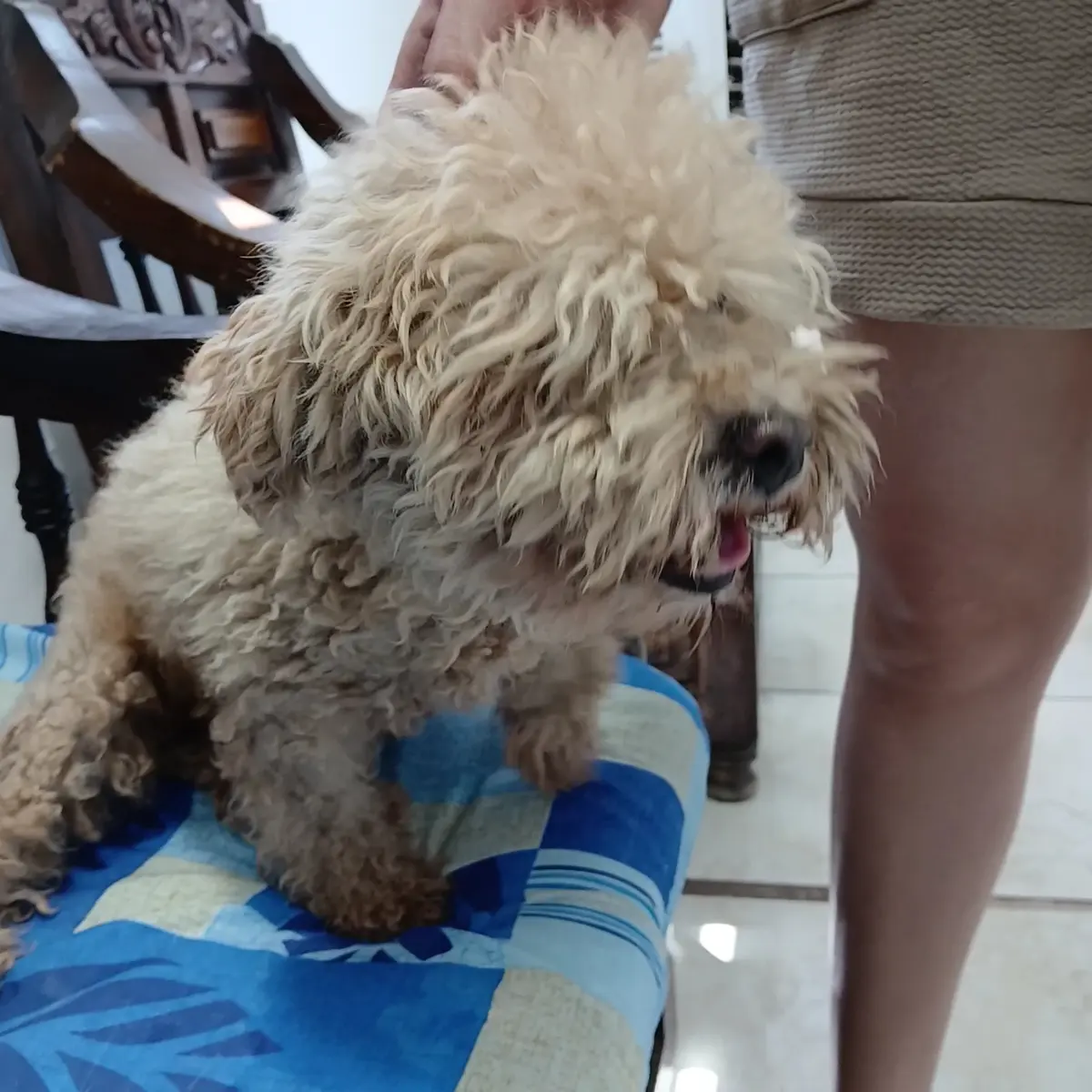 Clínica Veterinaria La Nueva Era — foto 2 de 3