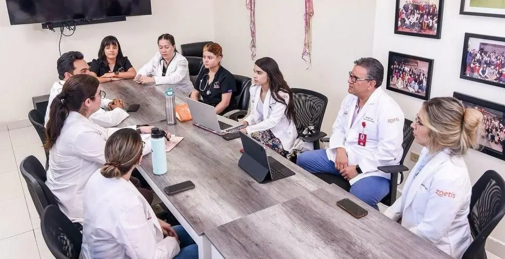 Consultorio y estética Veterinarias Borges