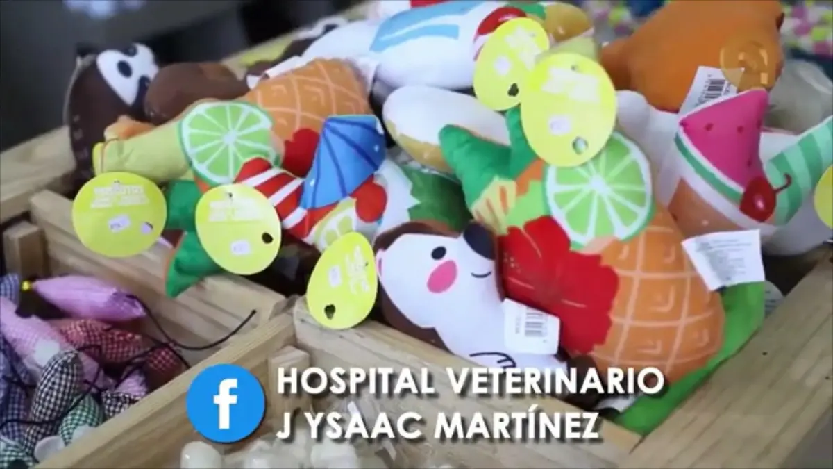 HOSPITAL VETERINARIO J YSAAC MARTINEZ Y ESTETICA CANINA — foto 3 de 3