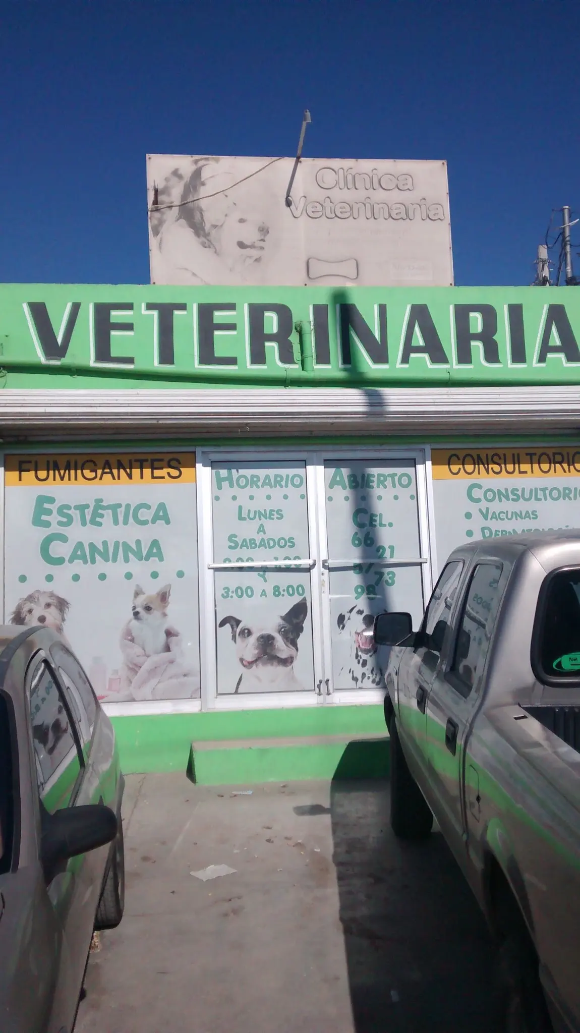 MÉDICO VETERINARIO Dr Sergio Toruga León