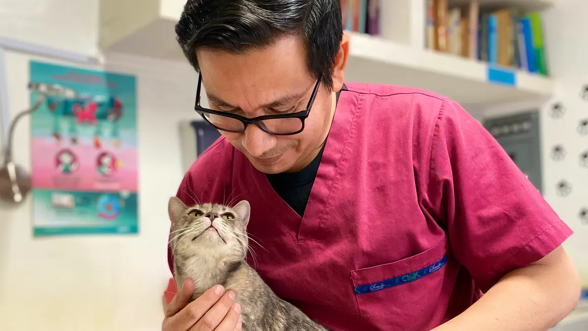 Monzalvo Hospital Veterinario Morelos