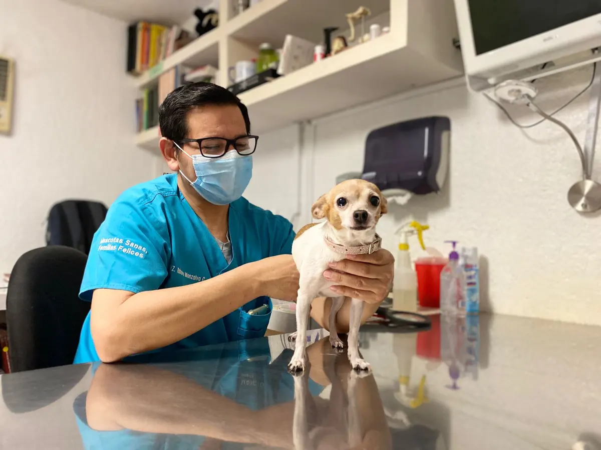 Monzalvo Hospital Veterinario Morelos — foto 2 de 3