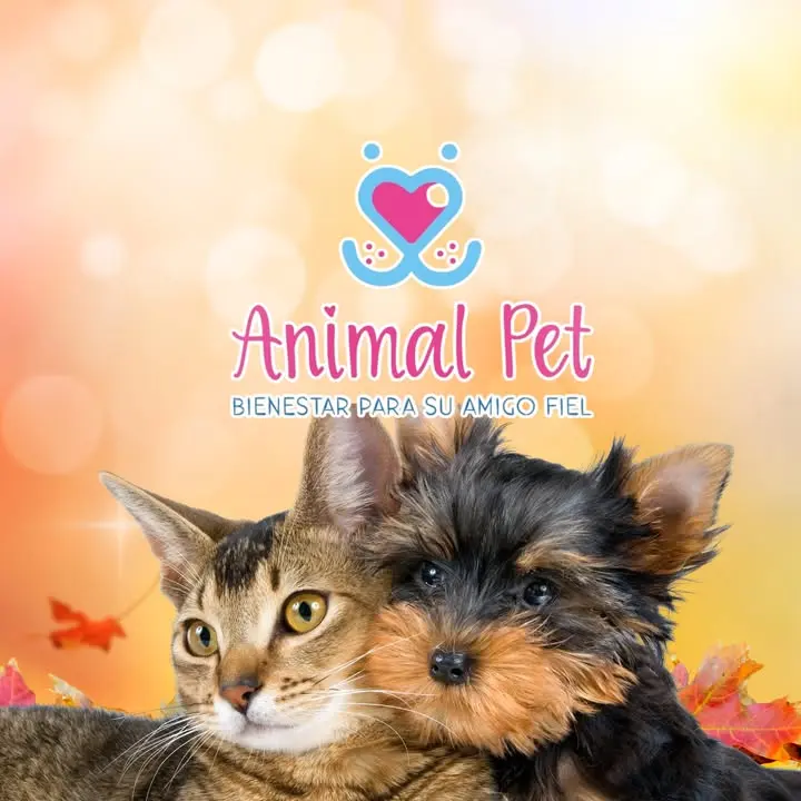 Veterinaria Animal Pet