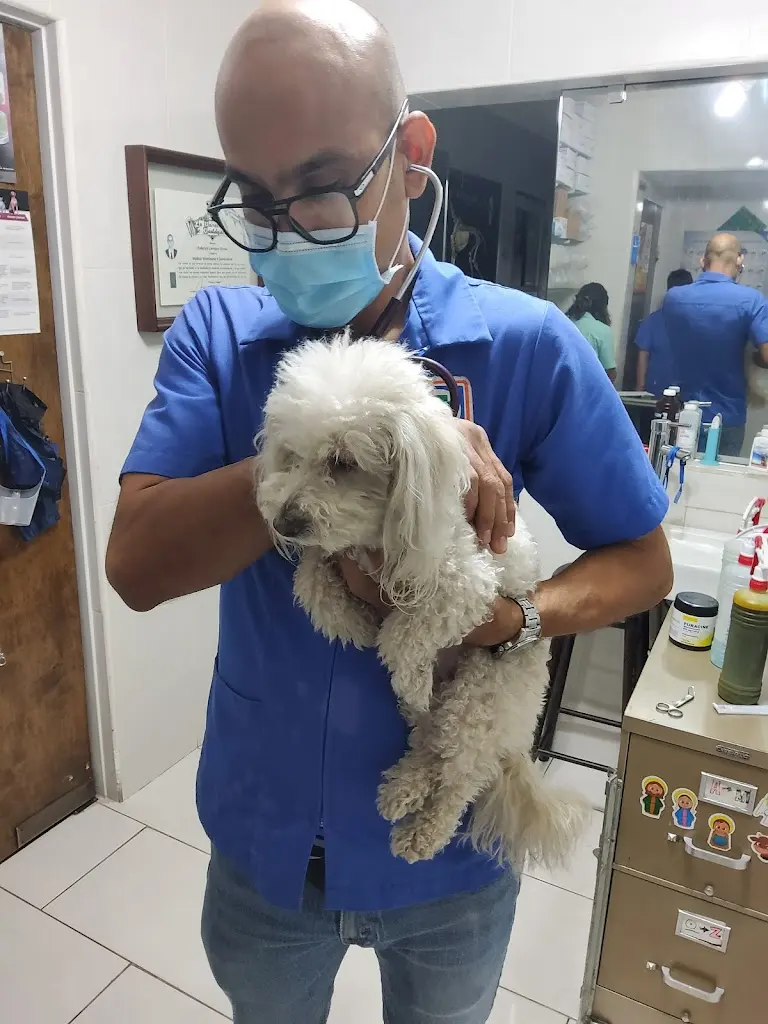 VETERINARIA PETS ROAD.
