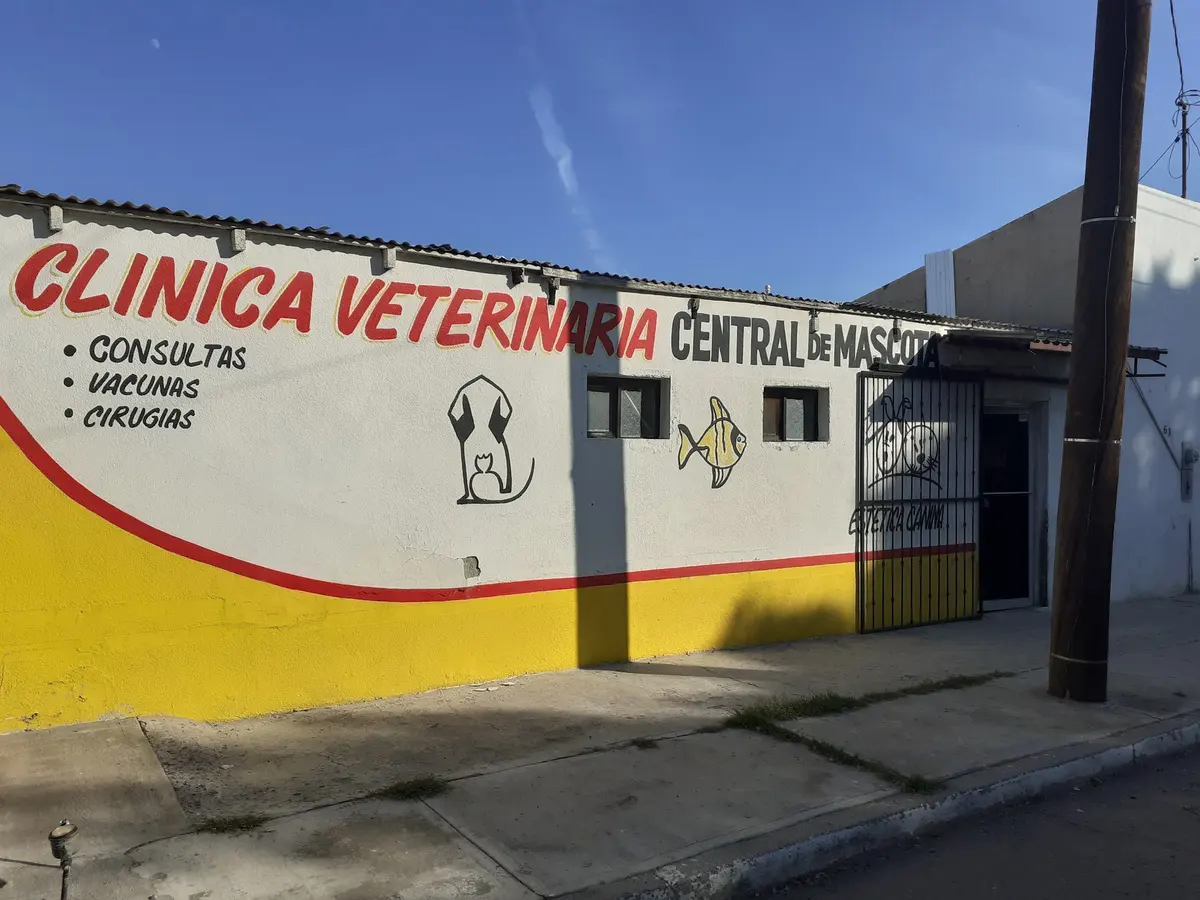 Central de mascotas Clinica Veterinaria Caborca