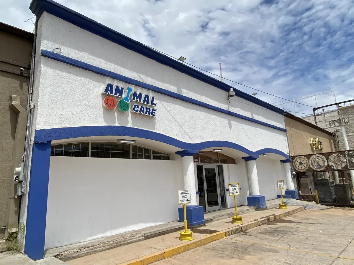 Animal Care