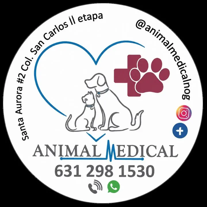 Animal Medical Nogales