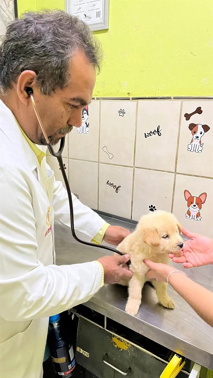 Clinica Veterinaria VETSON — foto 4 de 4