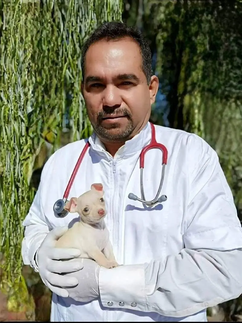 Clinica Veterinaria VETSON — foto 3 de 4