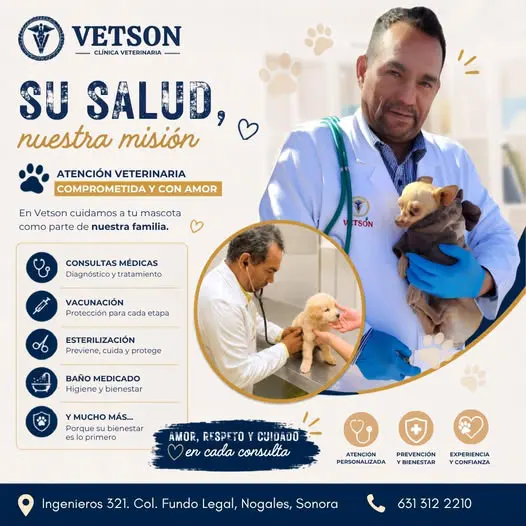 Clinica Veterinaria VETSON