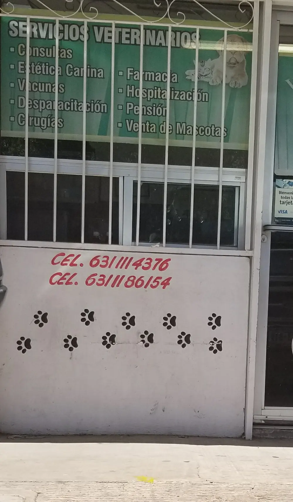 +Cotas — foto 2 de 3