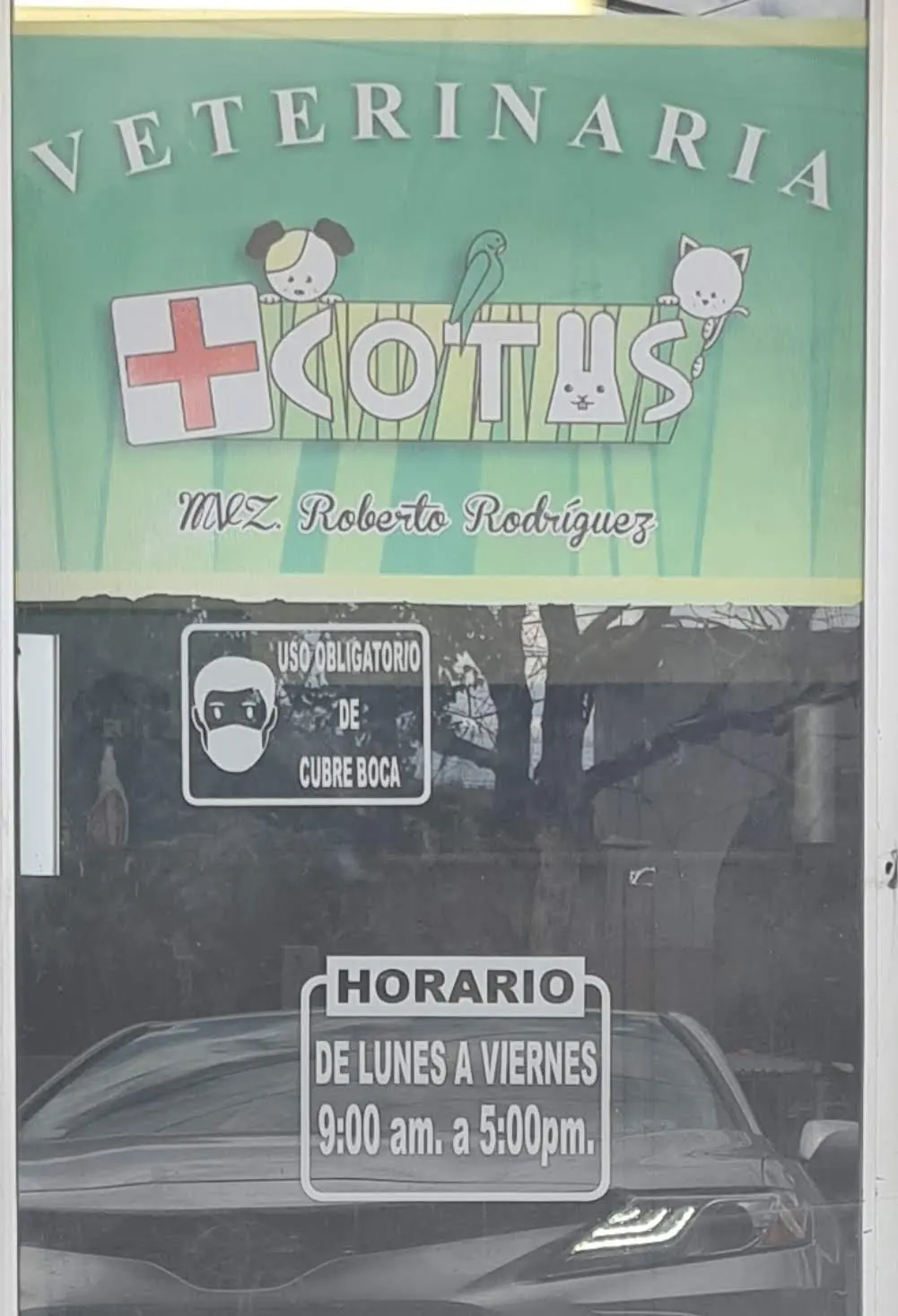 +Cotas — foto 3 de 3
