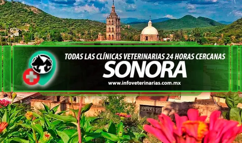 Golden "Servicios Veterinarios"
