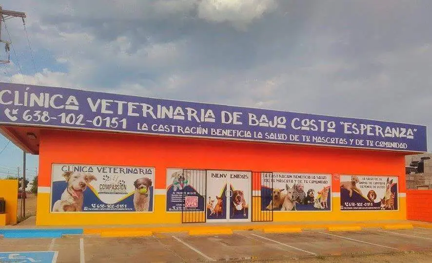 Esperanza Veterinary Clinic — foto 3 de 3