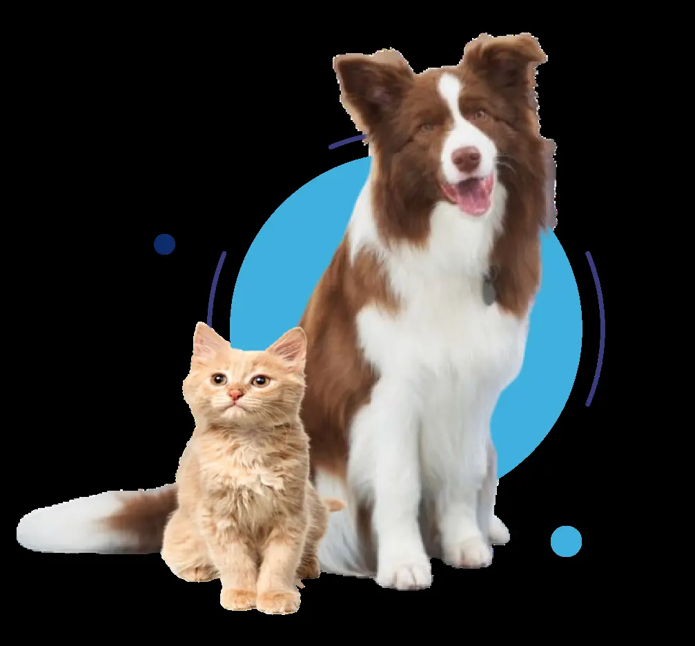 Centro Medico Veterinario