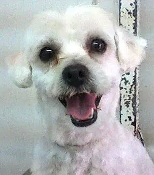 DR. MARTINEZ VETERINARIO — foto 2 de 4