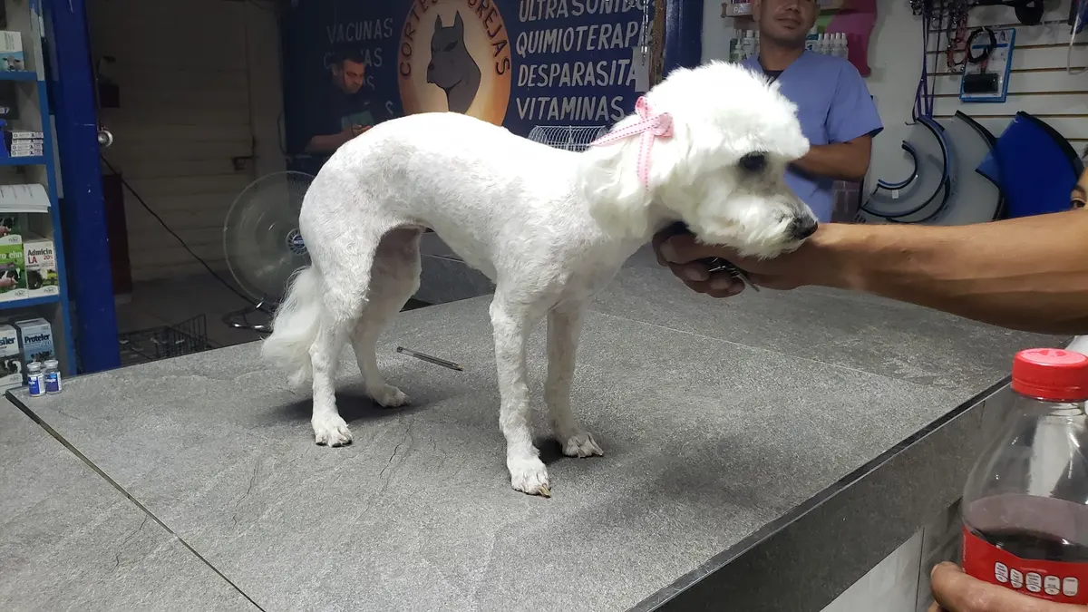 Veterinaria Mi Rancherita