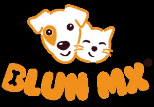 BLUN MX - PLAZA MORO