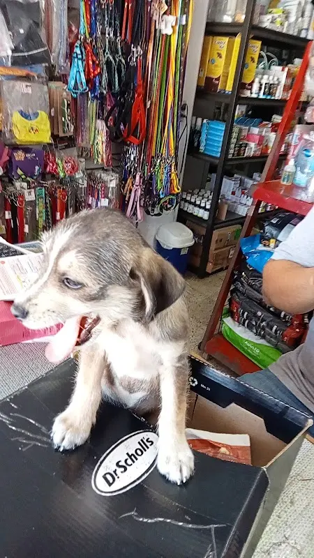 Farmacia Veterinaria Castro