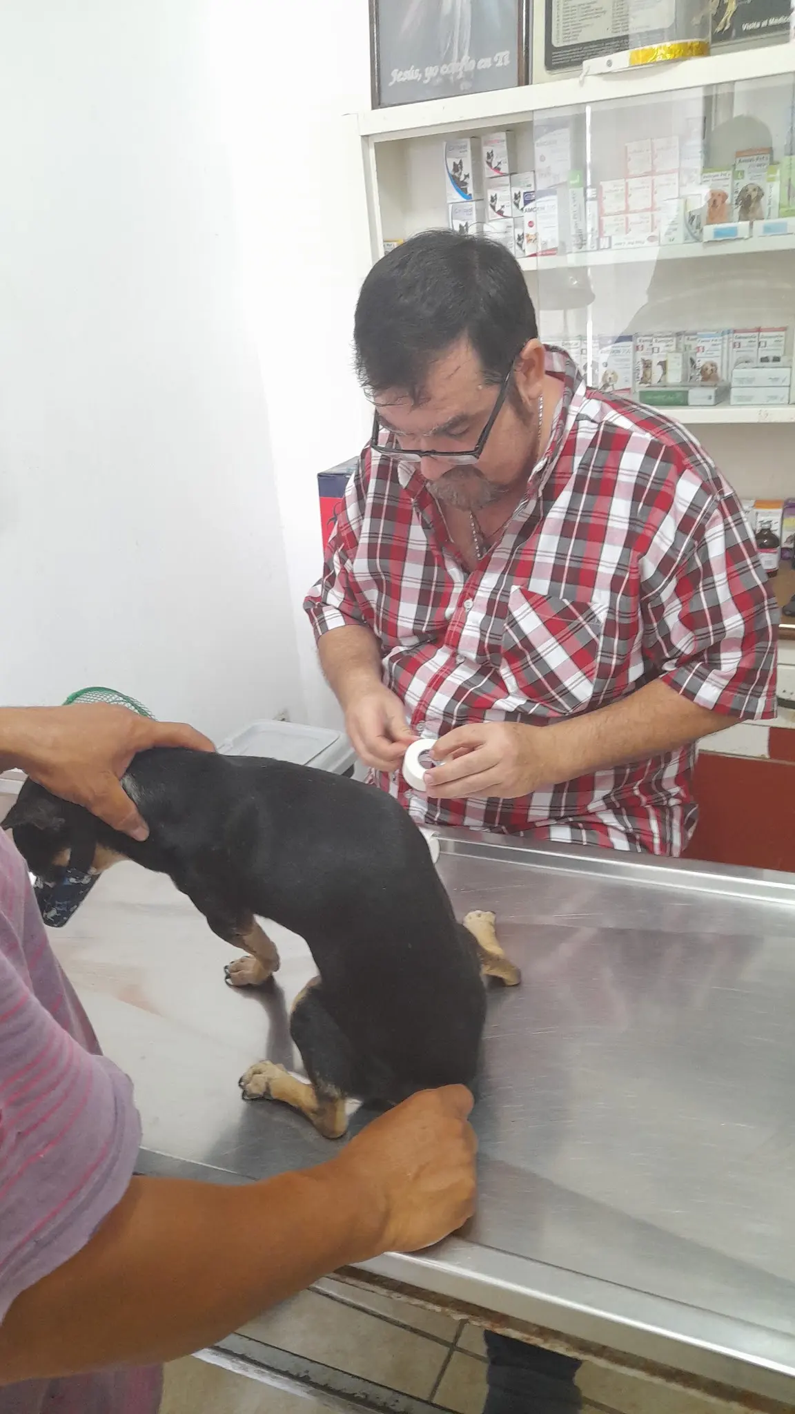 Clínica Veterinaria M.V.Z. Fernando E. García Cortina — foto 2 de 2