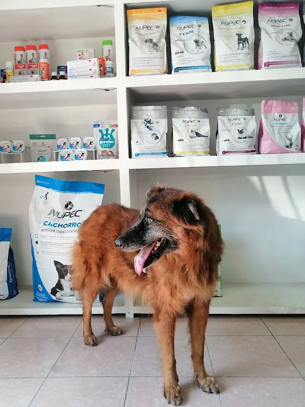 Clínica Veterinaria Vetz — foto 2 de 2