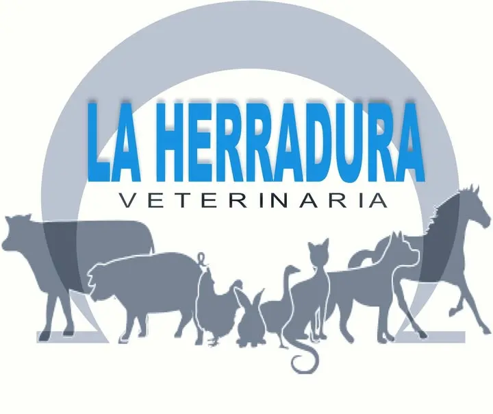 LA HERRADURA