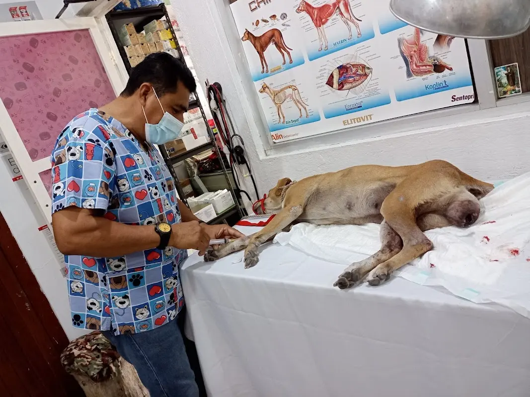 Veterinaria y Estética Canina COMERTESA