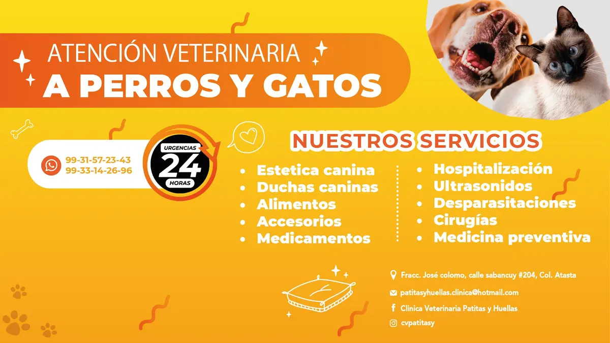 Clinica Veterinaria Patitas y Huellas