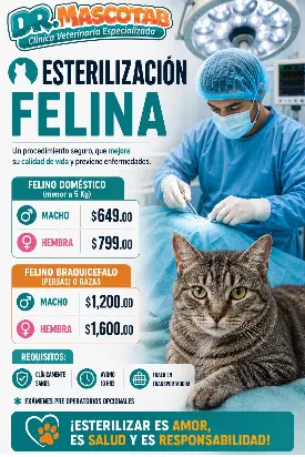 Dr Mascotab — foto 2 de 4