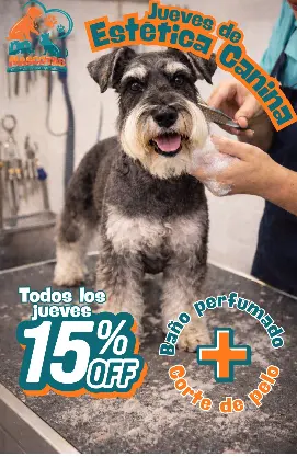 Dr Mascotab — foto 4 de 4