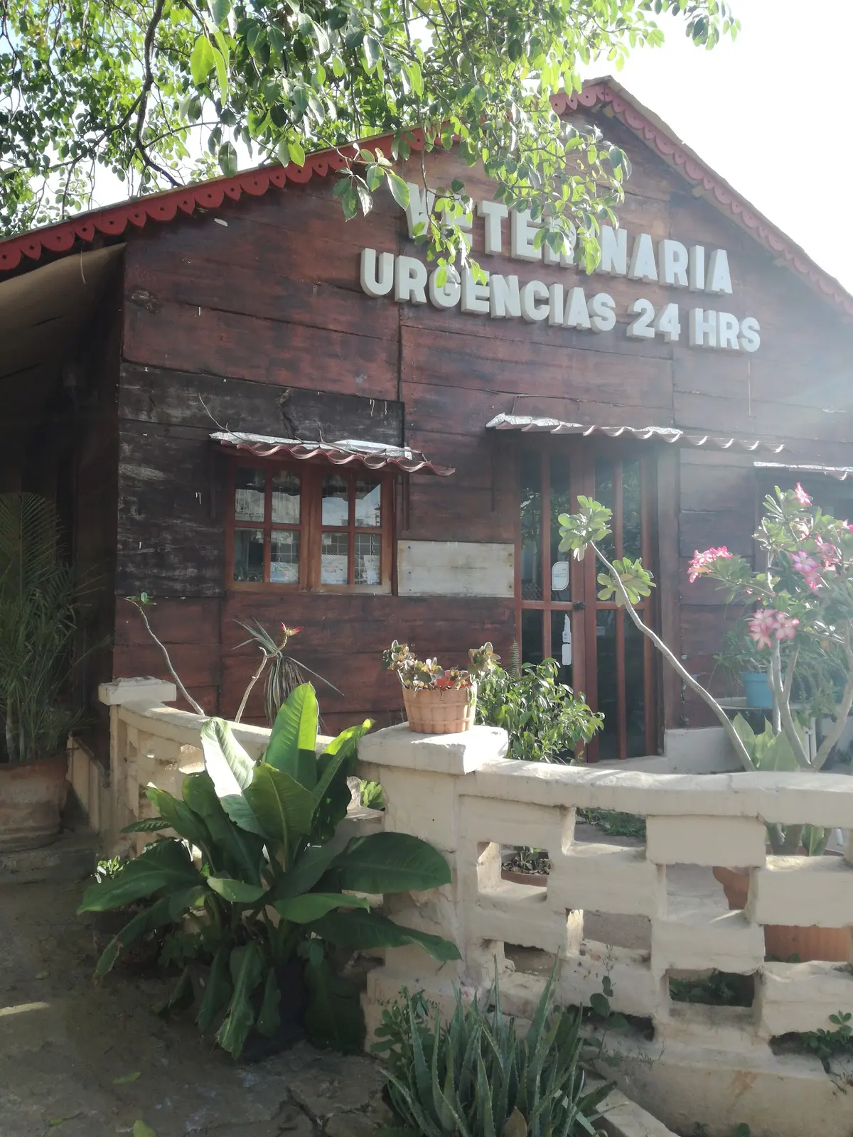 Hospital Veterinario Puente — foto 3 de 3