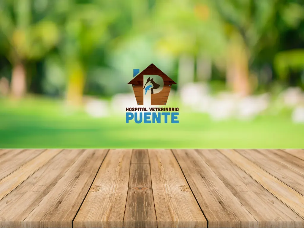Hospital Veterinario Puente