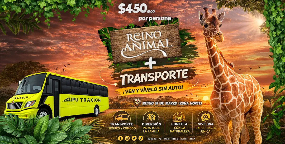 REINO ANIMAL — foto 3 de 5