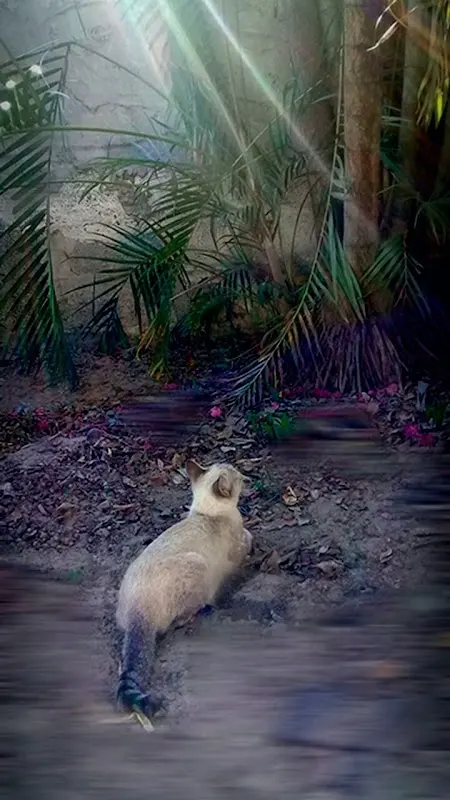 Veterinaria Allende