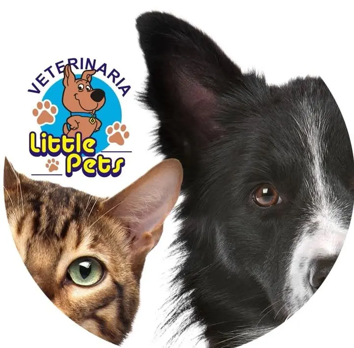 Clínica veterinaria Little Pets