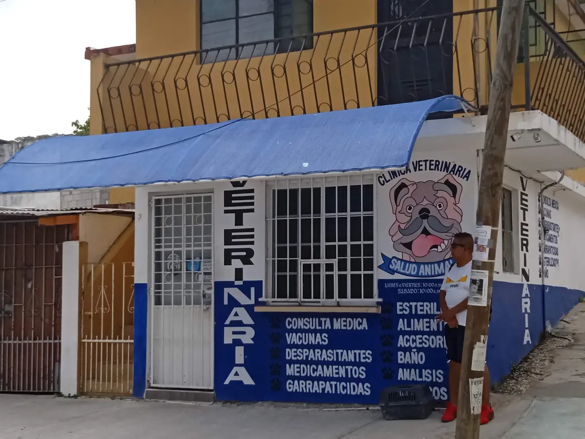Clínica veterinaria Salud Animal