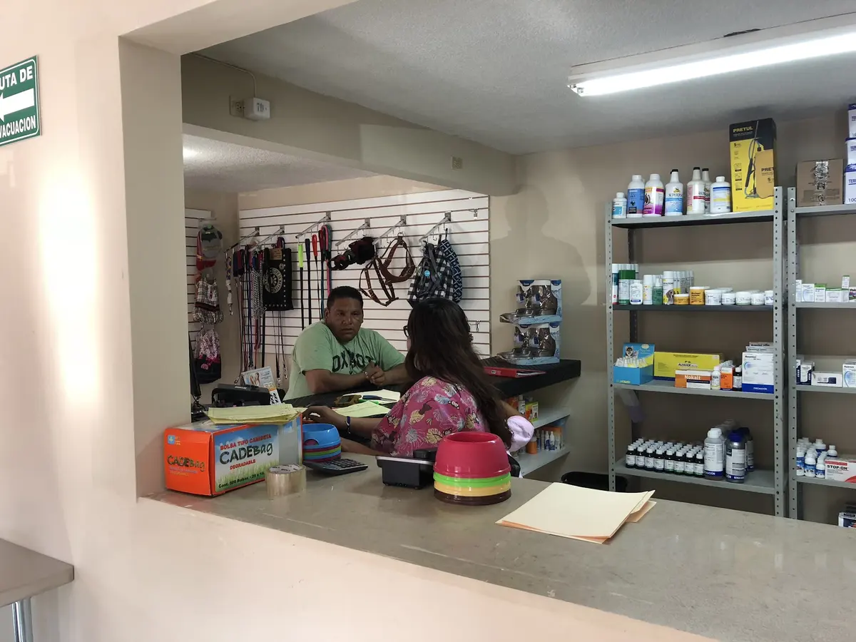 Kirak Veterinaria — foto 3 de 3