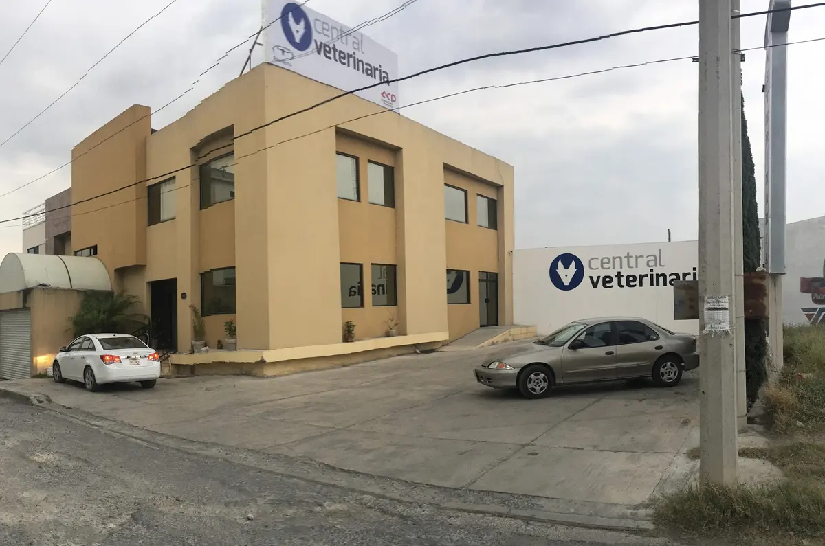 Central Veterinaria