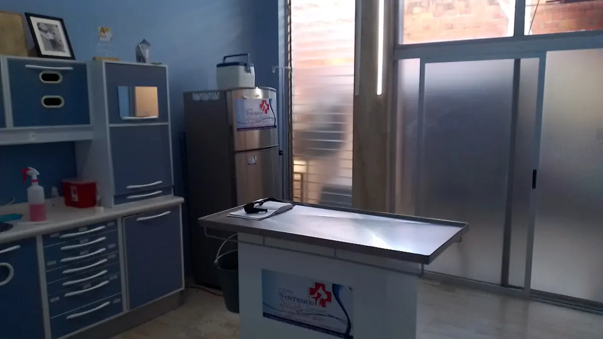CENTRO VETERINARIO CINCINNATI