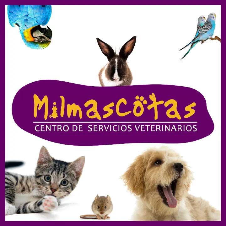 Milmascotas Centro de Servicios Veterinarios