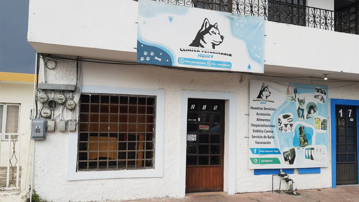 Veterinaria Husky