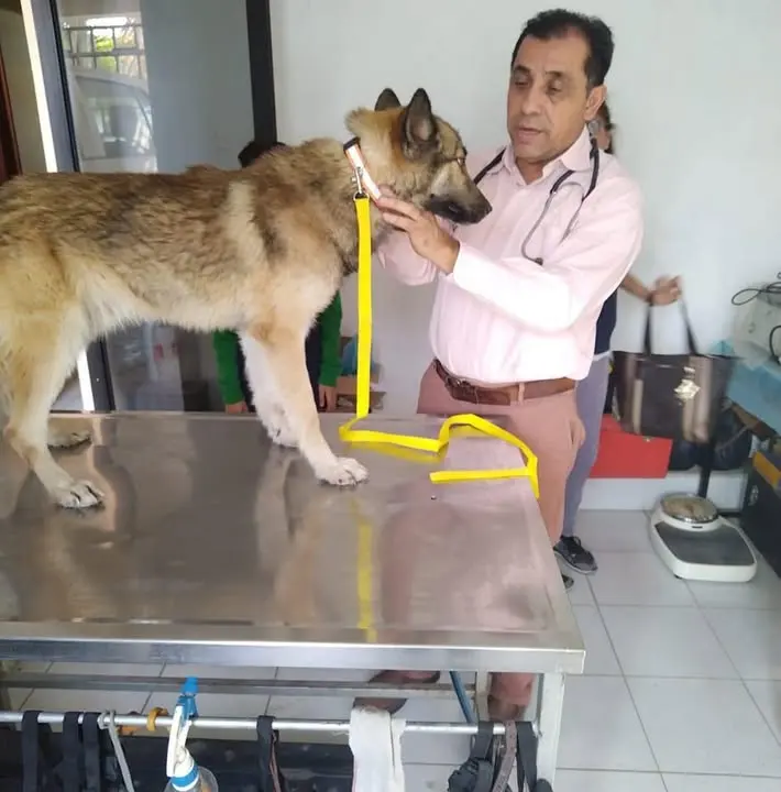 Veterinaria Médico Oscar Escamilla
