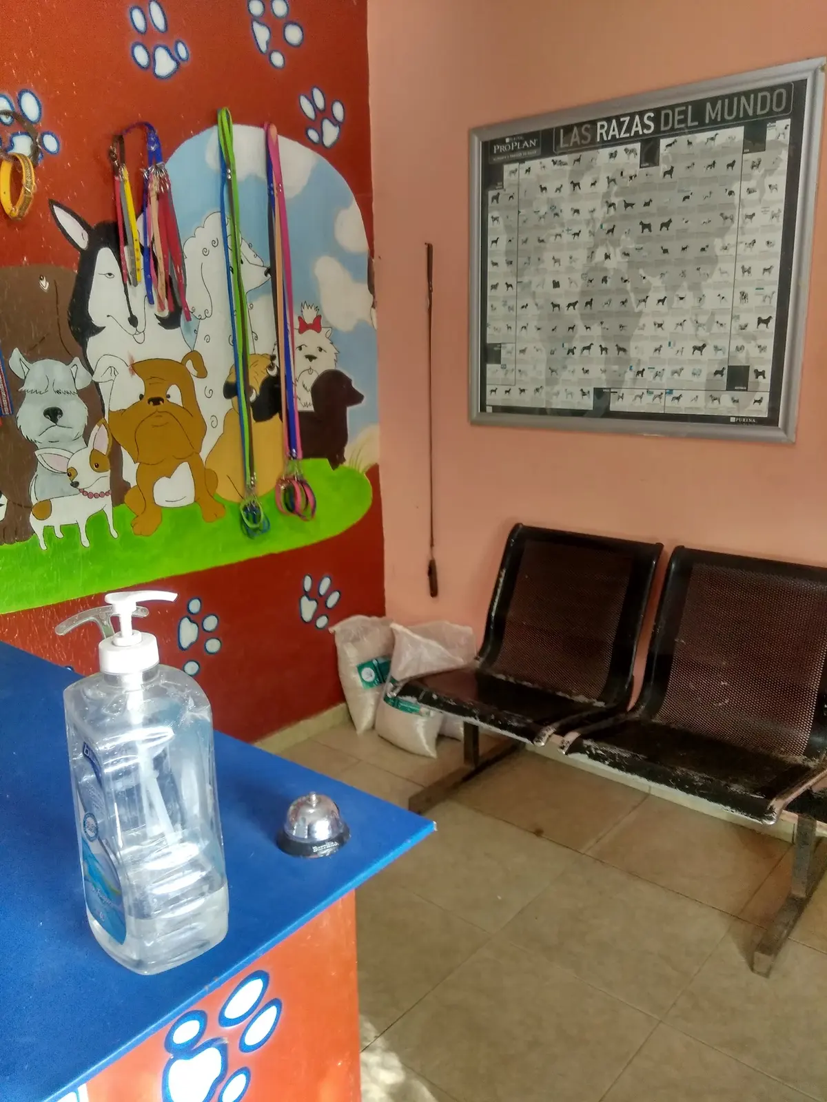 Veterinaria y Estética Canina la Vaca Flaca