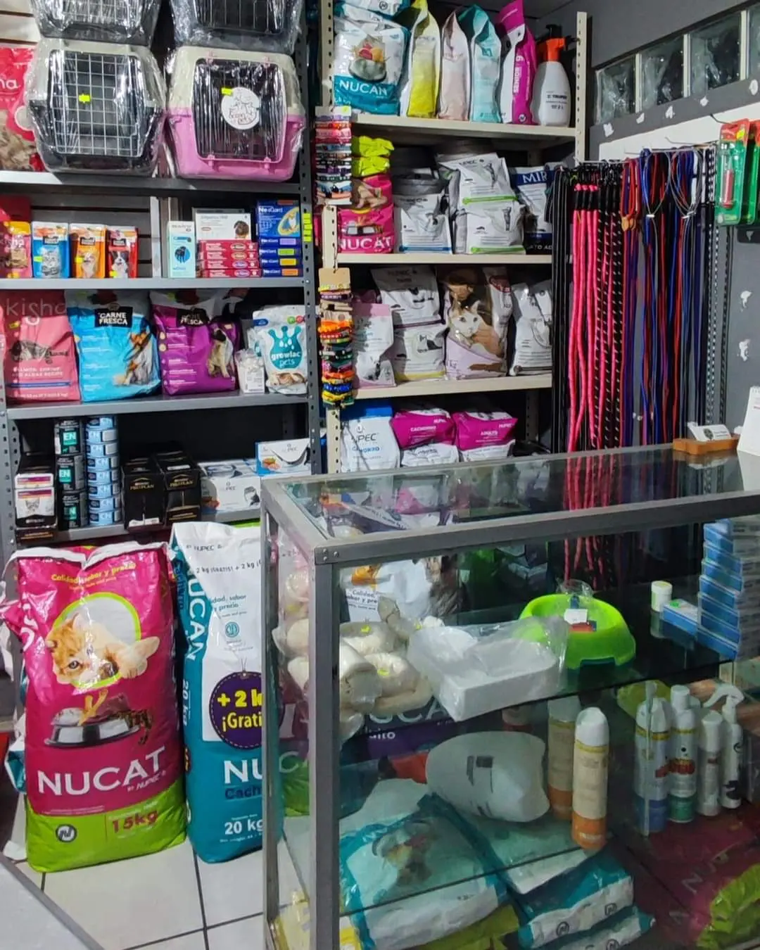 Servicio Medico Veterinario GAM