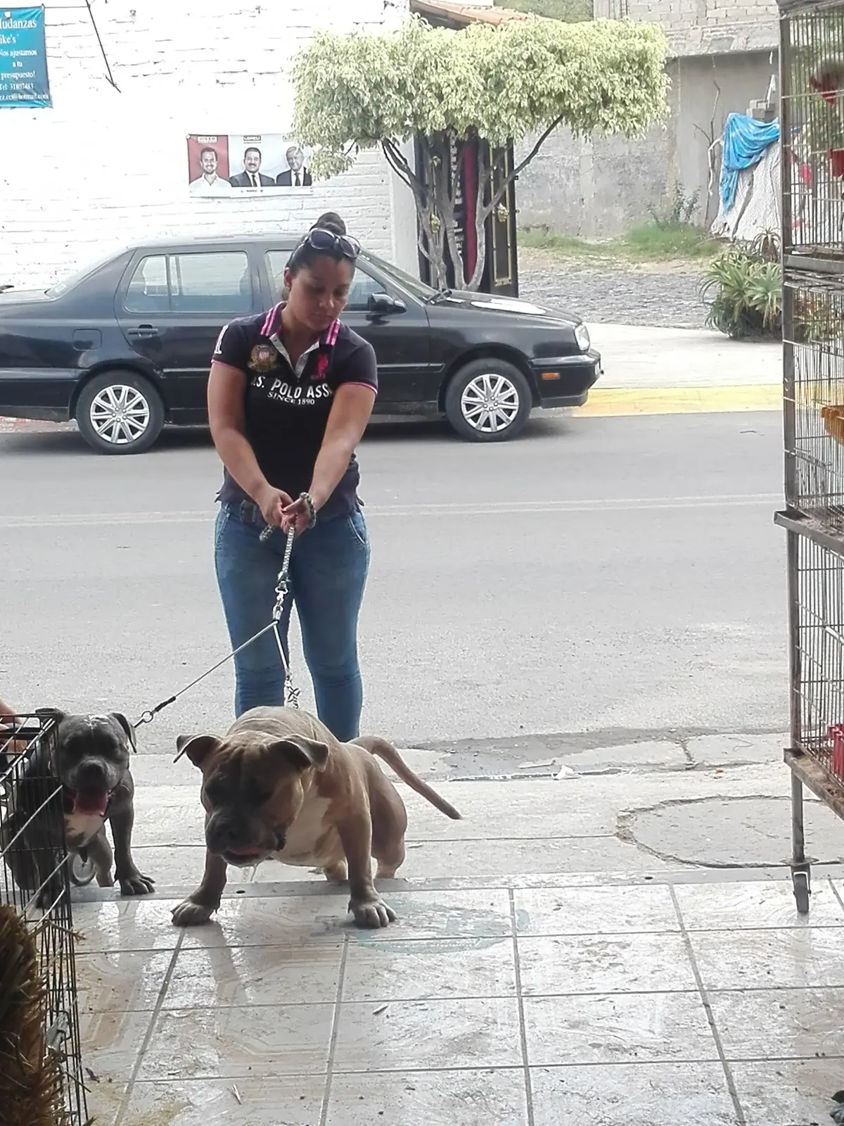 Veterinaria El Gallero
