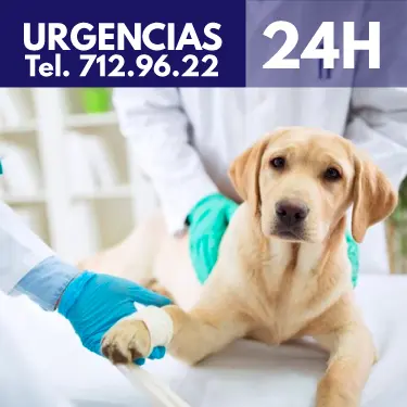 Centro Médico Veterinario de Alta Especialidad