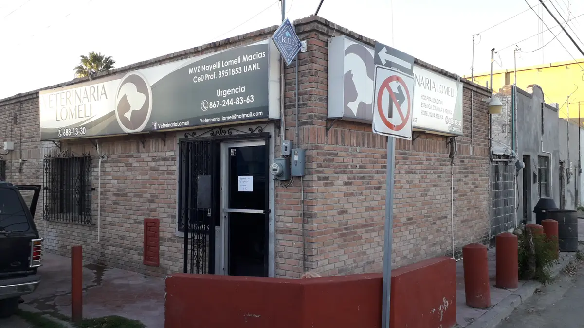 Clinica Veterinaria Lomeli