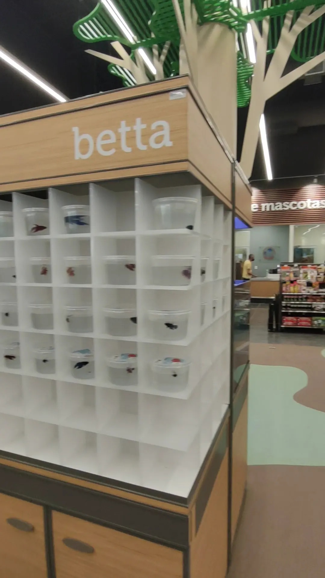 Petco Nuevo Laredo — foto 2 de 3