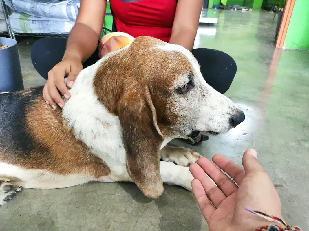 Veterinaria EL Arka — foto 2 de 2