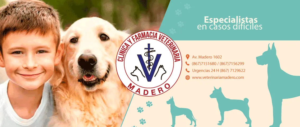 Veterinaria Madero